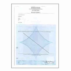 Traduction extrait de casier judiciaire