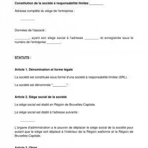 Traduction status société