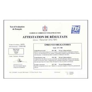 Traduction attestation de niveau de langue